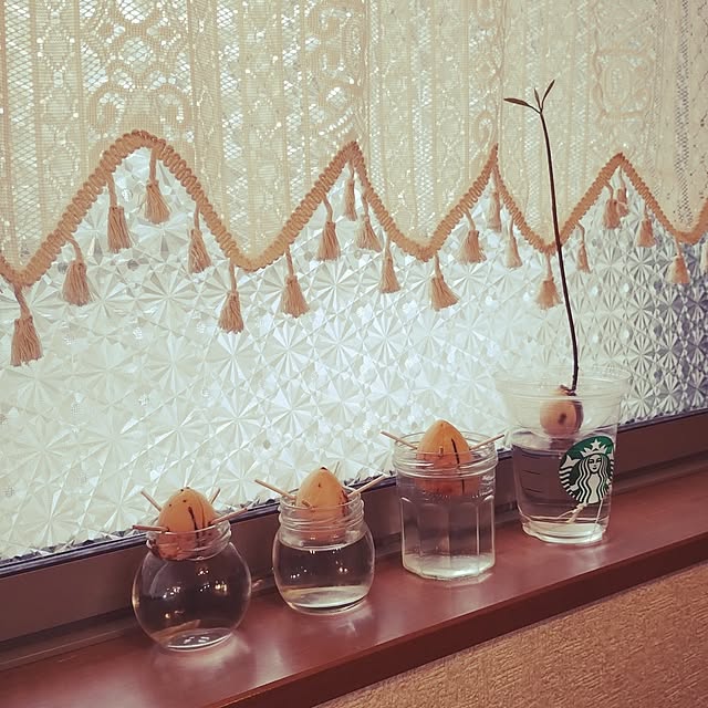 kana_ciiさんの実例写真