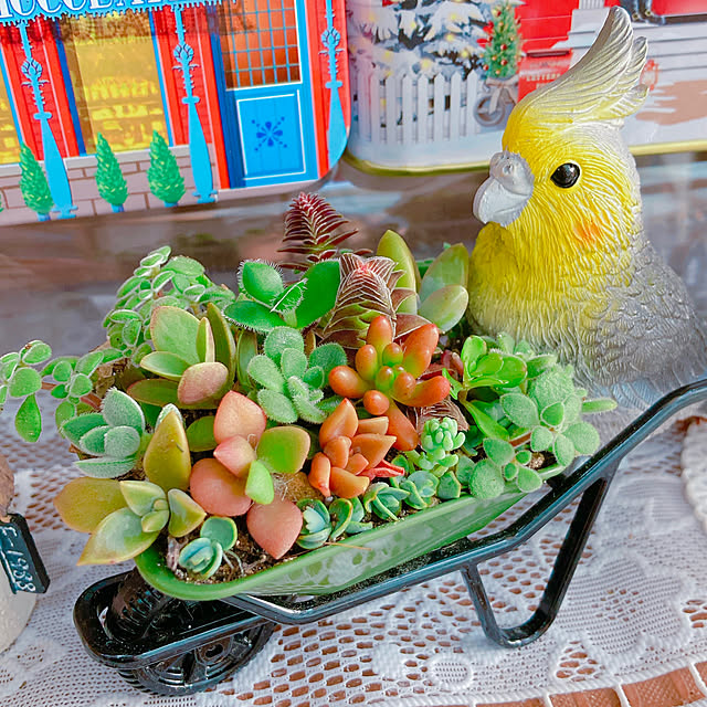 Hanakaさんの実例写真
