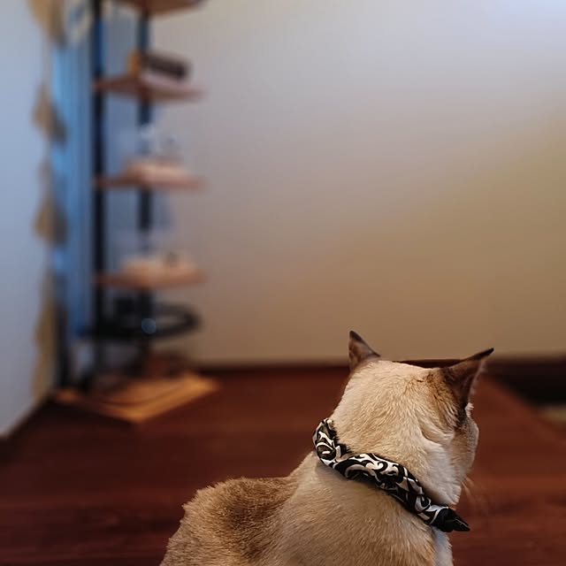 Atelier_tamakiさんの部屋