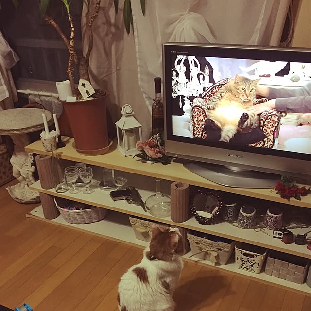 maria.rさんの実例写真