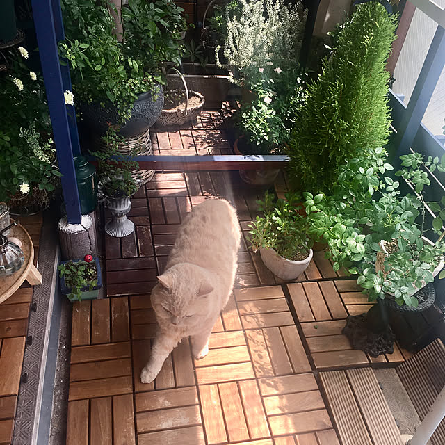 naokoさんの部屋