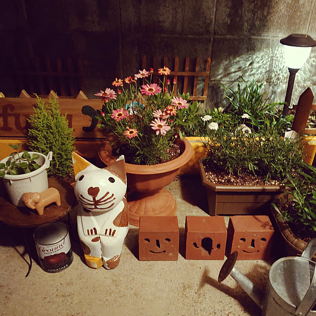fukuさんの実例写真