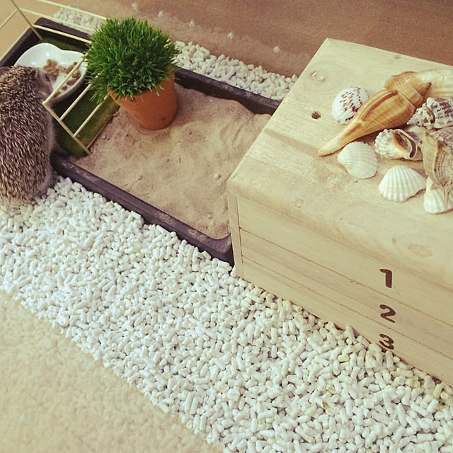 ma-bu-ruさんの実例写真