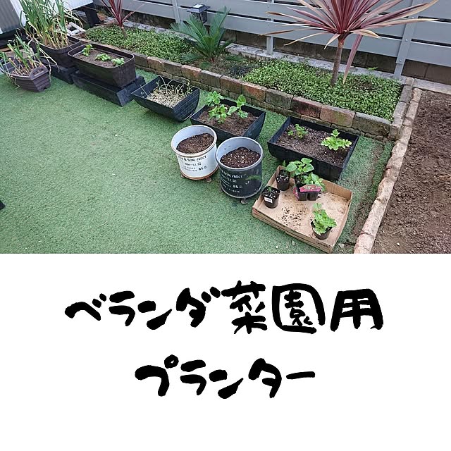 orenoniwa5nenさんの実例写真