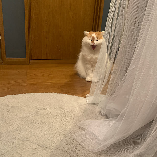 keiさんの実例写真