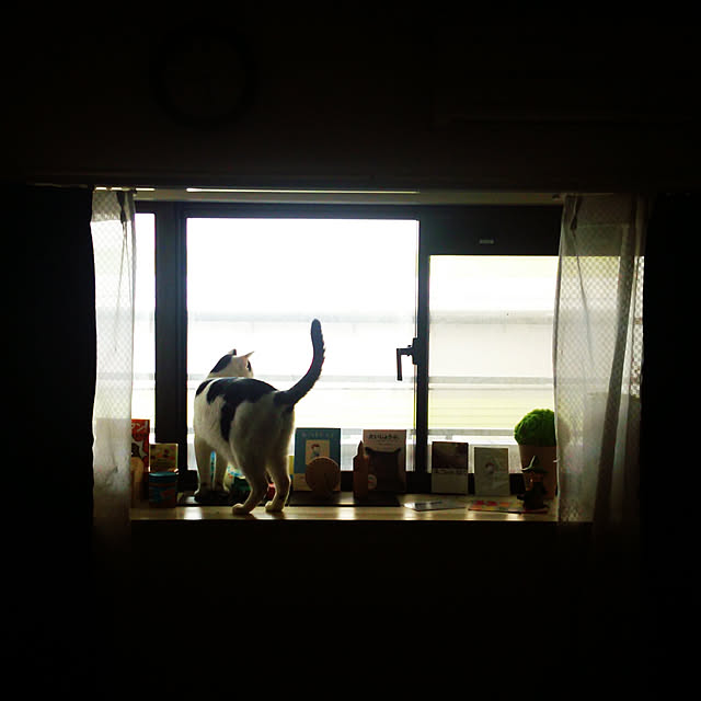 noguchiken0102さんの実例写真