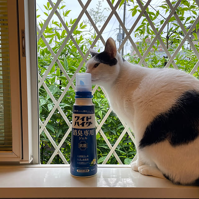 nobikoさんの部屋