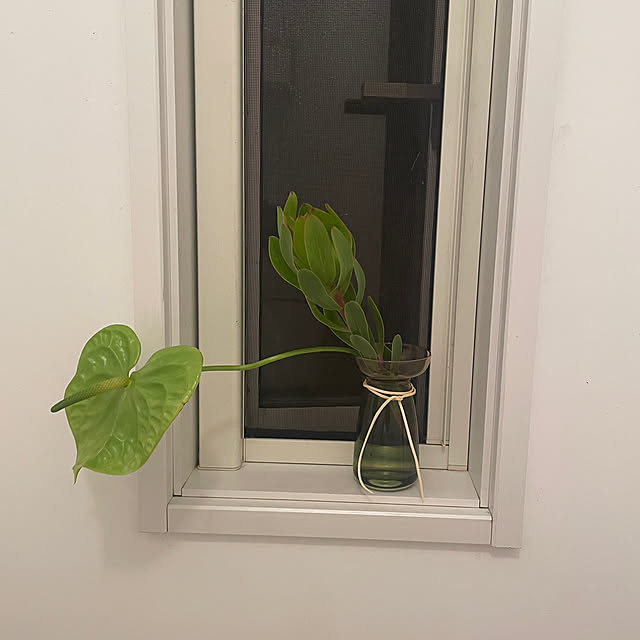 nattunさんの部屋