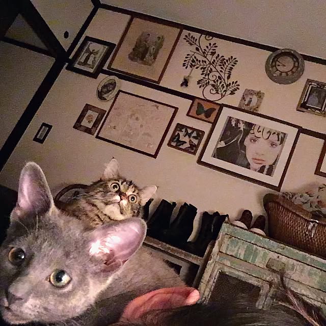lalarin123さんの実例写真