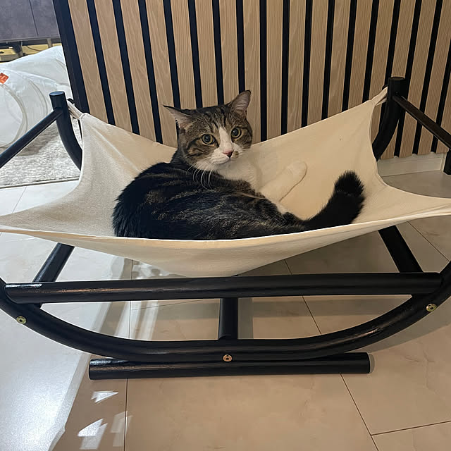 maimaiさんの部屋