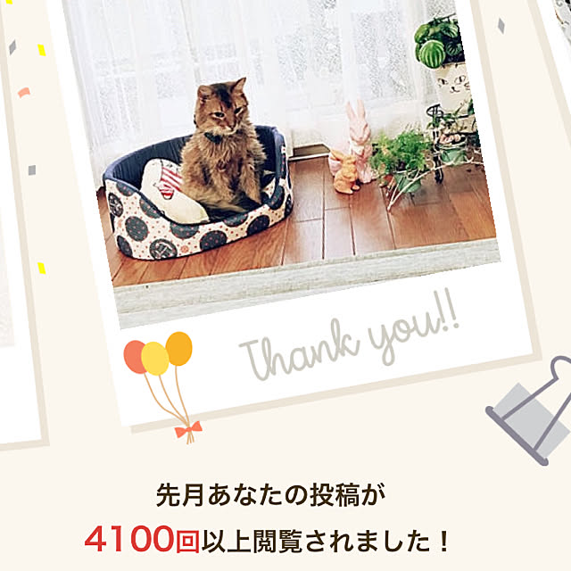 yukarinさんの実例写真