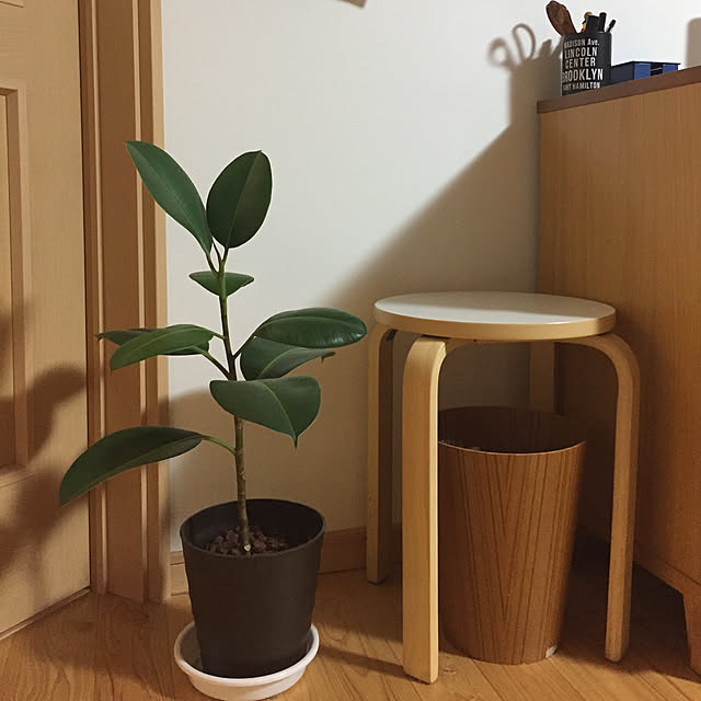 Akiさんの実例写真