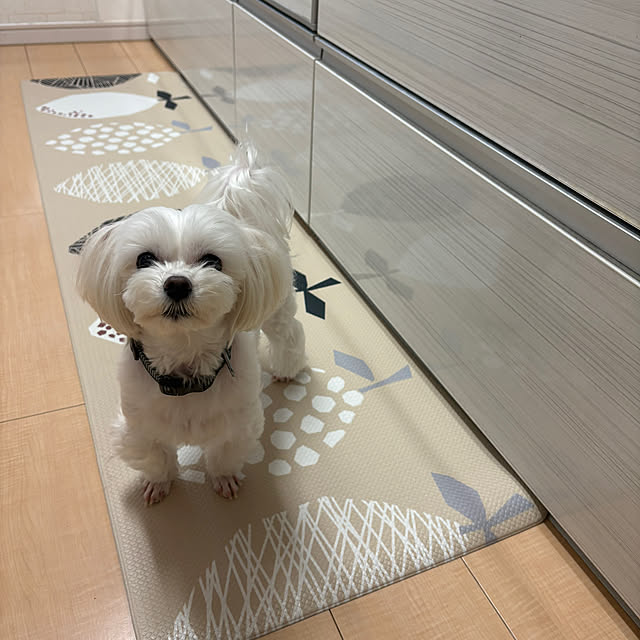 yuukiさんの部屋