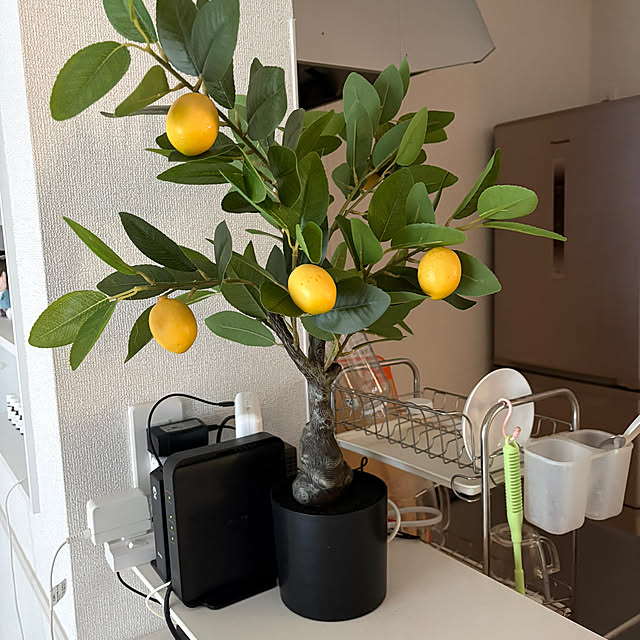 starligh3956さんの実例写真