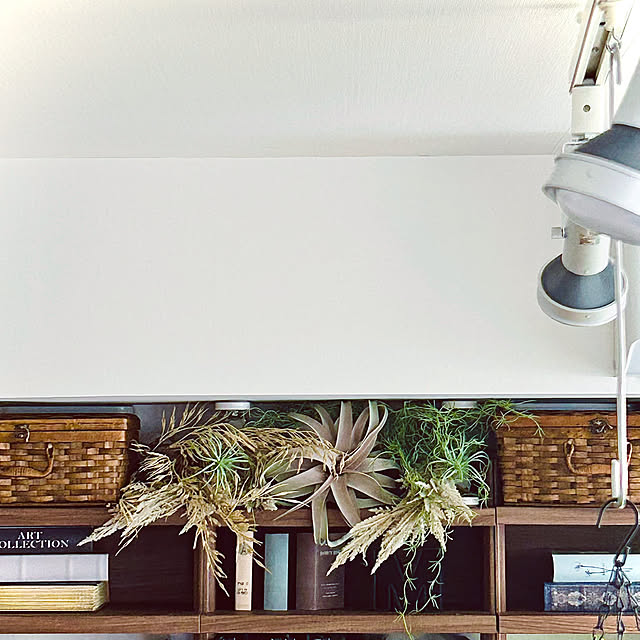 DAYONEさんの実例写真