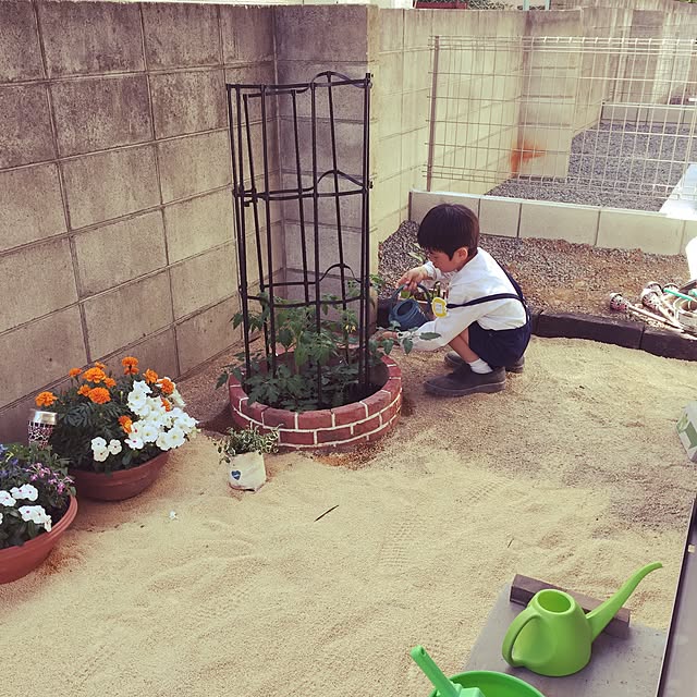 実例写真
