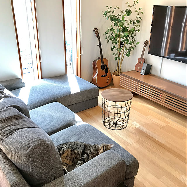 nekomusumeさんの実例写真