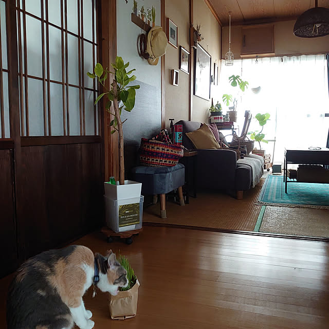 fukuさんの実例写真