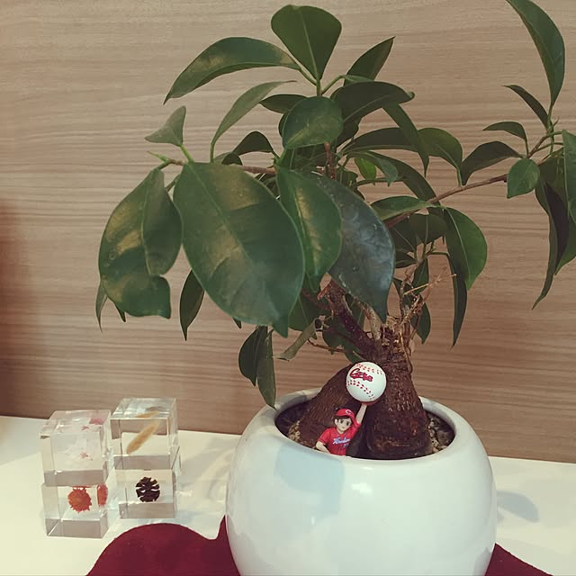 Noricoさんの実例写真