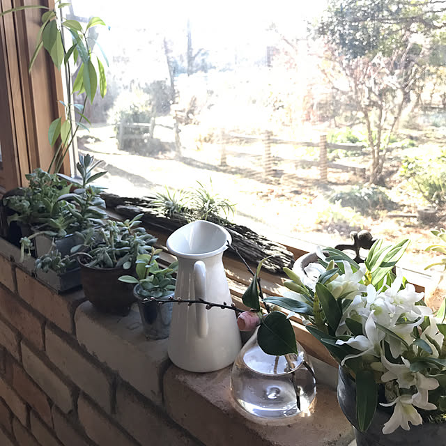 7gardenさんの実例写真