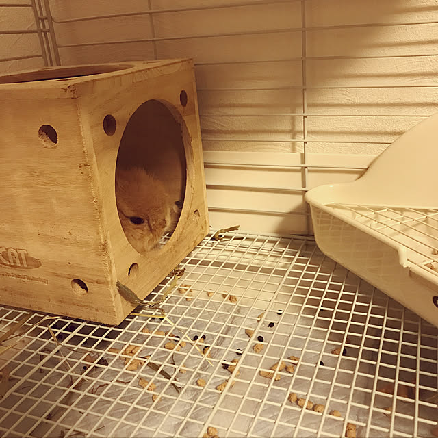 mさんの実例写真