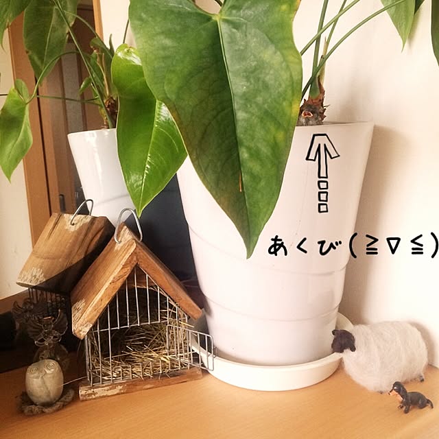 urjju_ujjru10さんの実例写真