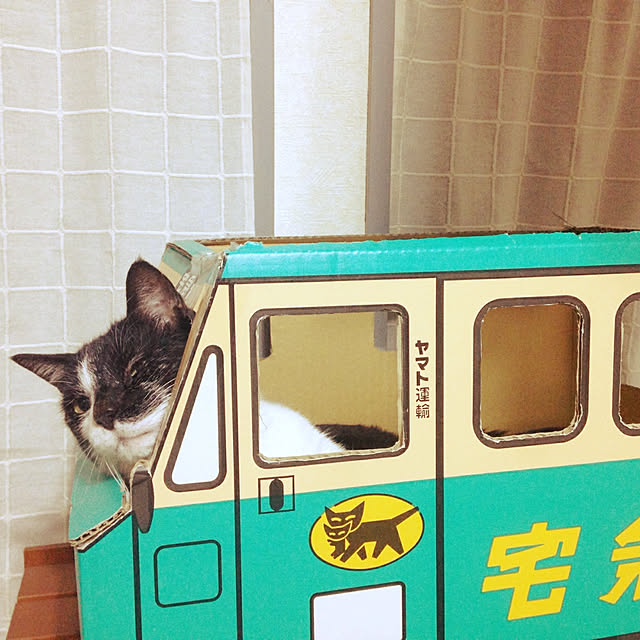 renewalnyaokoさんの実例写真