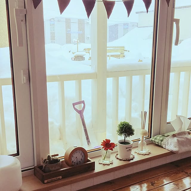 sakuさんの実例写真