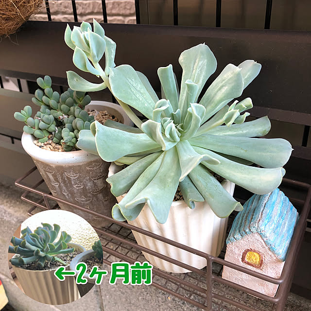 CoffeeHouseさんの実例写真