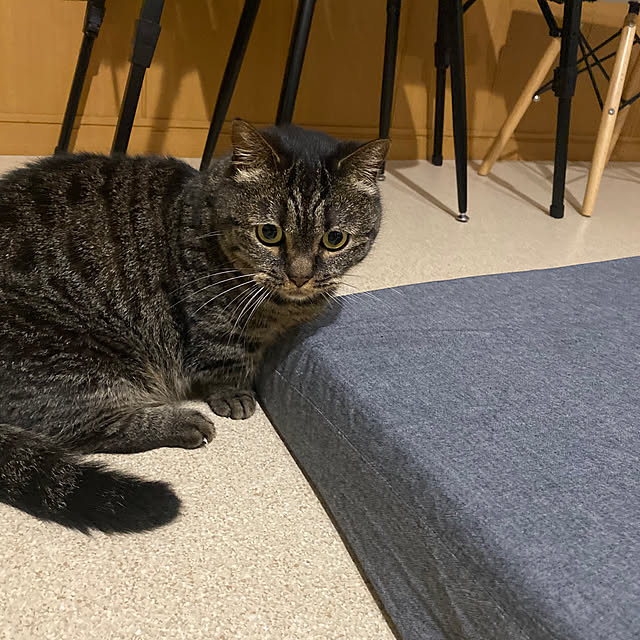 nocomomさんの部屋