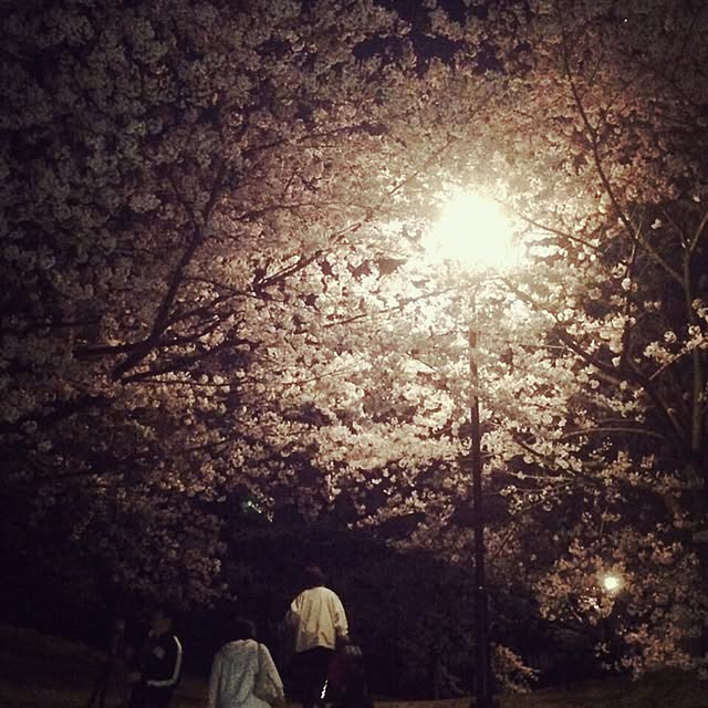 実例写真