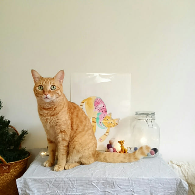 mayutan.さんの実例写真