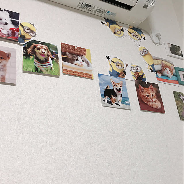 実例写真