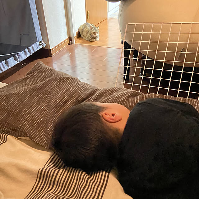 hansho.sさんの実例写真
