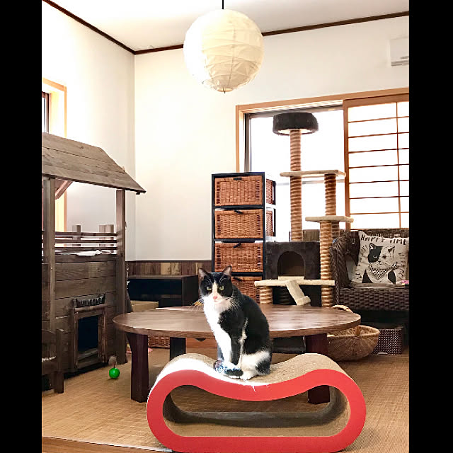 butachanさんの実例写真