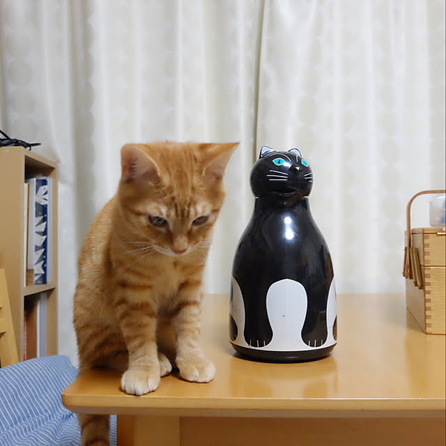 mokiさんの実例写真