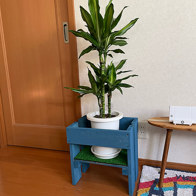toshiさんの実例写真