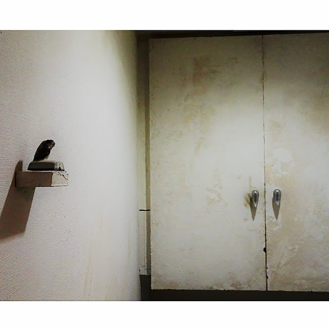 youdefさんの実例写真