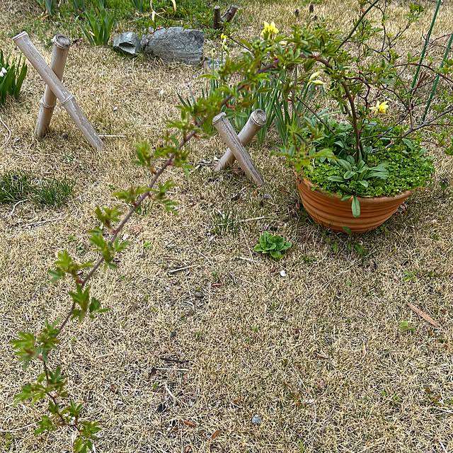 okadajapanさんの部屋
