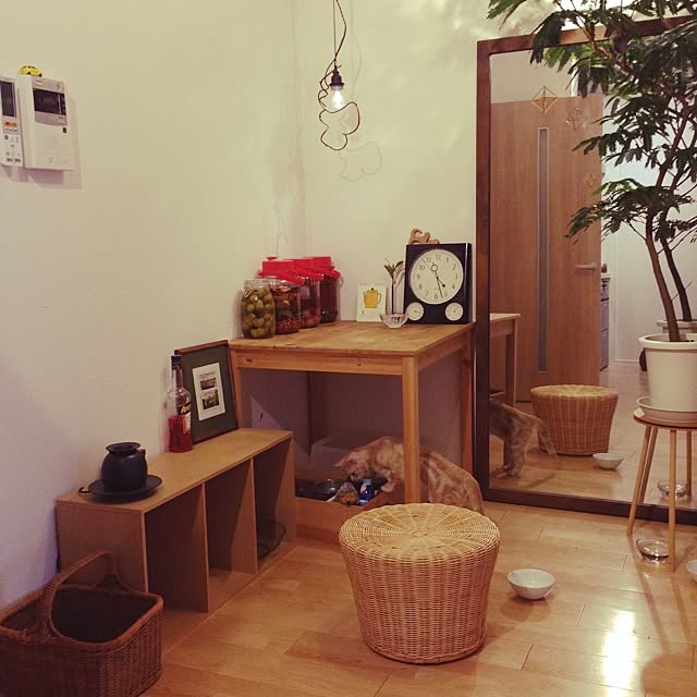 部屋全体/ペット/観葉植物のインテリア実例 - 2014-07-21 12:21:03