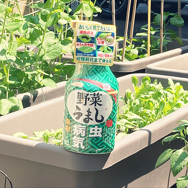 riseruさんの実例写真