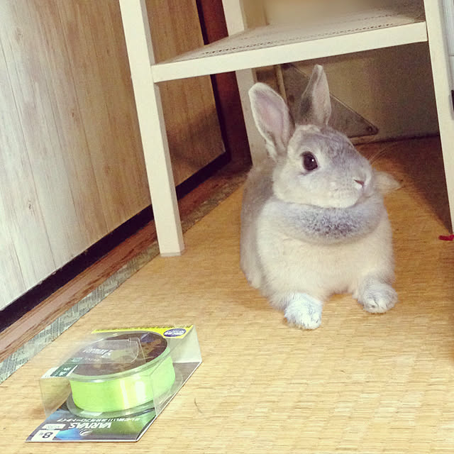 yokomokoさんの実例写真