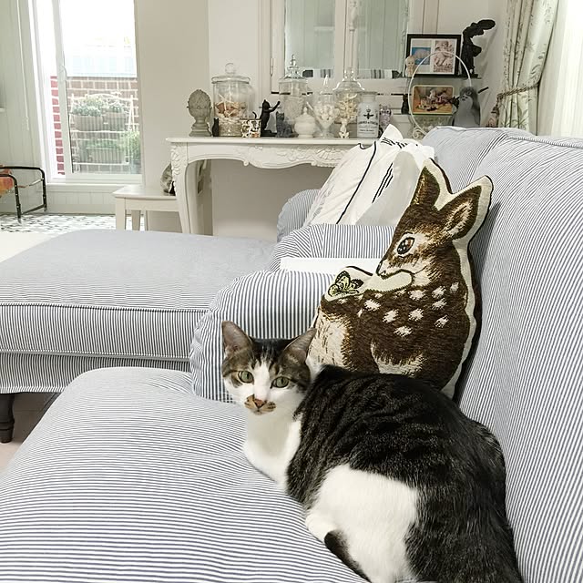 yuchiさんの実例写真