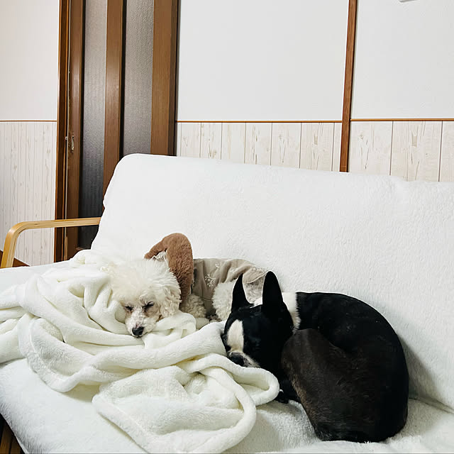 kurumeruさんの実例写真