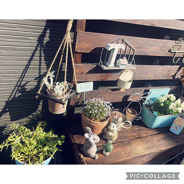CoCo0617さんの実例写真