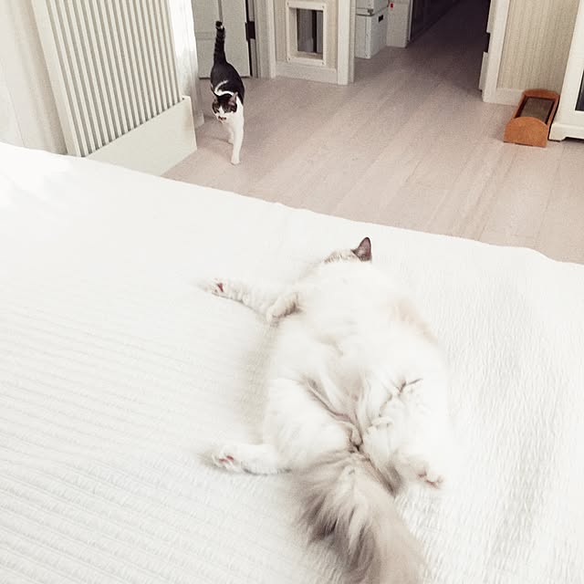 yuchiさんの実例写真