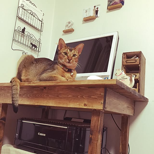 実例写真