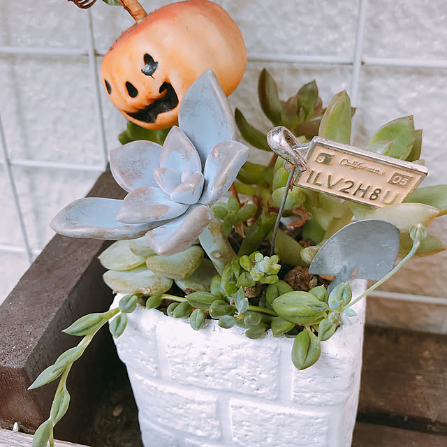 N.Eさんの実例写真