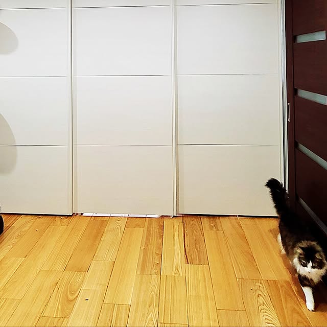 akiko6193さんの部屋