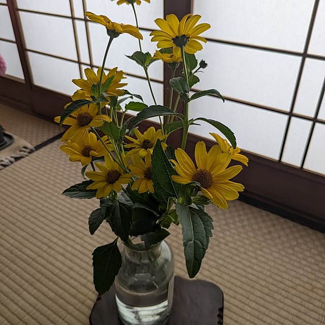 minnieさんの部屋